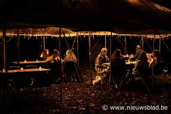 Gemeente krijgt nieuw festival aan vrijetijdscentrum dankzij speelpleinanimatoren: “Iedereen heeft wel een verzetje verdiend”