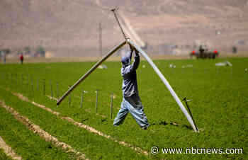 Bill Gates owns massive parcels of farmland. It's not part of his plans to save the planet.