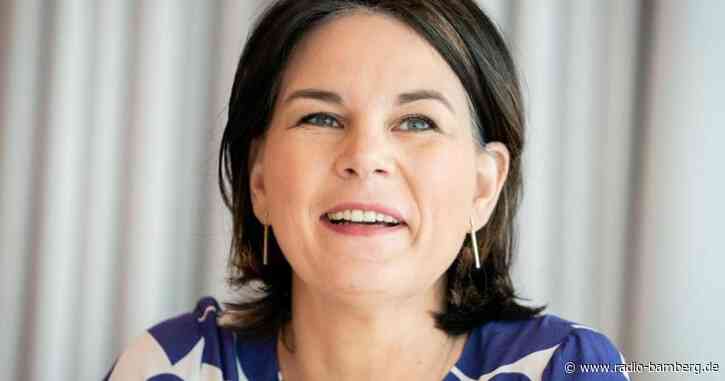 Lobbyorganisation schaltet Anzeigen gegen Grünen-Programm