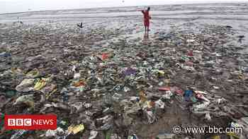 Plastic from take-out food is polluting the oceans - study - BBC News