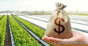The right way to spend patient capital for food reform | Greenbiz - GreenBiz