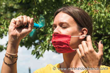 Pets, masks, food: Comfort tips as temperatures soar in France - The Connexion