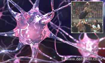 Health: Exercise can increase the risk of motor neurone disease, scientists warn
