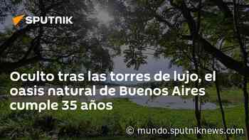 Oculto tras las torres de lujo, el oasis natural de Buenos Aires cumple 35 años - Sputnik Mundo