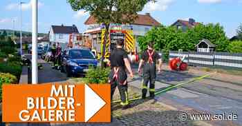 Bexbach: Feuerwehr rettet Katze aus Haus in Eberfurter Straße - sol.de
