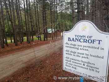 Bancroft Mayor urges caution as town reopens