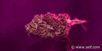 How to Get a Medical Cannabis Card in Your State - Self