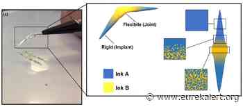 New way to 3D-print custom medical devices to boost performance and bacterial resistance - EurekAlert