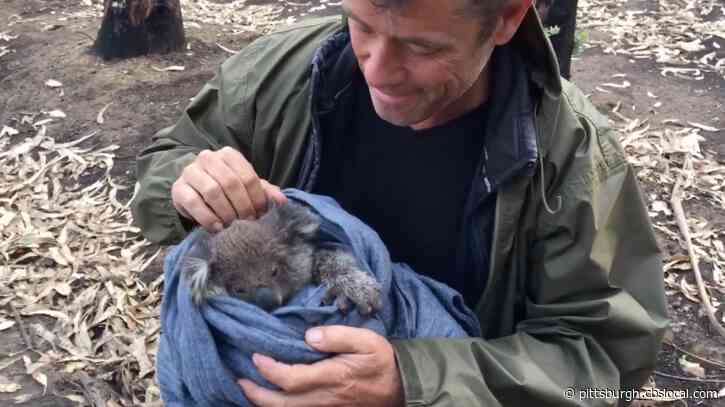 ‘We Are Rescuing Countless Animals’: Doug Thron On Using Drones To Save Animals & Series ‘Doug To The Rescue’