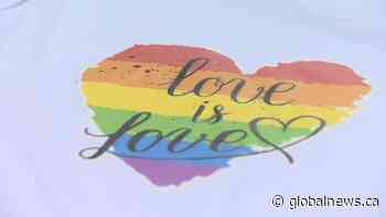 LGBTQ2 businesses speak out against rainbow capitalism