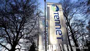 TenneT seeks BalWin survey crew
