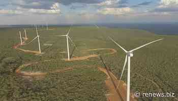 Enel starts 716MW Brazil wind spinning