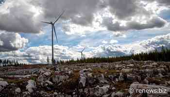 Vestas bags 40MW Polish wind