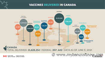 COVID-19 cases in Canada down 80 percent, North reaches major vaccine milestone