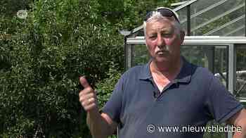 PFOS-vervuiling in volkstuintjes Deurne? “Ik maak me geen zorgen om mijn aardbeien”