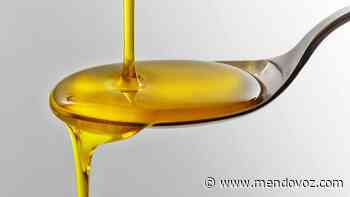 Prohíben aceite de oliva de San Rafael por ser un producto ilegal - Mendovoz