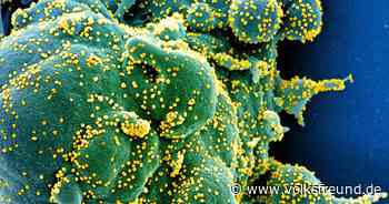 Corona-Pandemie: Virologin Dr. Susanna Trapp informiert in Pflegeschule Daun über das Coronavirus - Trierischer Volksfreund