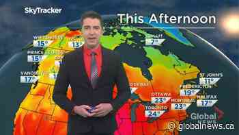 Saskatchewan weather outlook: June 11