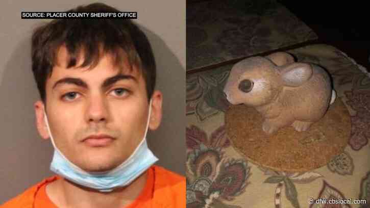 Suspect Who Broke Into Home Using Ceramic Rabbit Held At Gunpoint By Homeowner Until Deputies Arrive