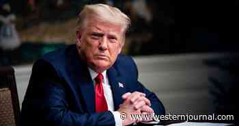 Trump Reveals He Turned Down Multiple Book Deals Because He's 'Working on a Much More Important Project'