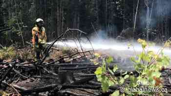 Wood harvester loses $150,000 in timber in Saint-Paul forest fire | Watch News Videos Online - Globalnews.ca