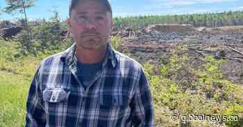 Wood harvester out $150,000 in timber due to New Brunswick forest fire - Global News