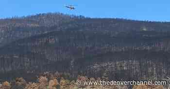 Ecologist: Intense fires like Calwood endanger regeneration prospects for ponderosa pine forest - The Denver Channel