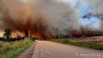 Sainte-Marie-de-Kent forest fire no longer a threat to public, official says - CBC.ca