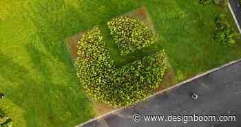 nomad studio sculpts a woodland forest of floating japanese kokedamas - Designboom