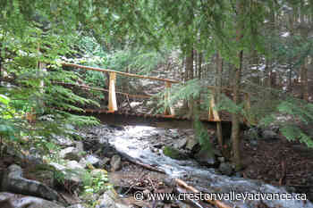 Out There: The Creston Community Forest Trails - Creston Valley Advance