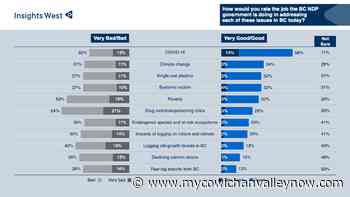 Mixed Reaction to NPD Performance on Forest Protection vs Pandemic - My Cowichan Valley Now