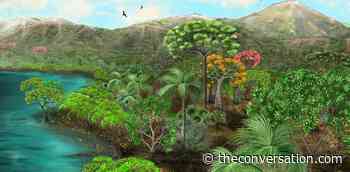 A volcanic eruption 39 million years ago buried a forest in Peru – now the petrified trees are revealing South America's primeval history - The Conversation US