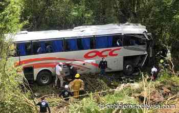 Autobús de pasajeros cae a barranco en Chiapas; hay al menos un muerto y más de 20 heridos - Noticieros Televisa