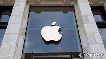 Trump DOJ demanded metadata on 73 phone numbers and 36 email addresses, Apple says