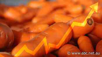 During lockdown, it seems the world has turned to carrots, with Australian exports hitting $100m