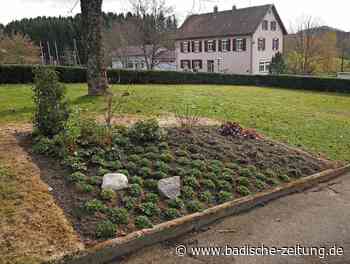 Gemeinschafts-Gräberfeld soll wachsen - Steinen - Badische Zeitung