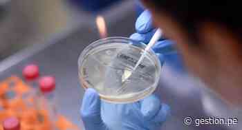 Variante Delta del coronavirus es 60% más contagiosa, según autoridades sanitarias británicas - Diario Gestión