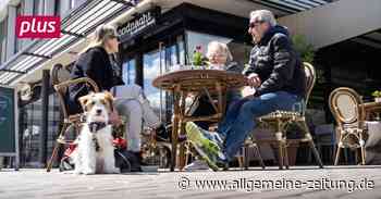 Rheinland-Pfalz Hotel- und Gastgewerbe will Fachkräfte zurückholen - Allgemeine Zeitung