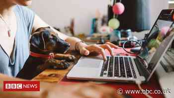 Facebook remote working plan extended to all staff for long term