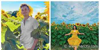 This Sunflower Field Near Toronto Has A Magical New Trail - Narcity Canada