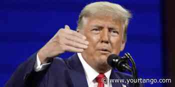 Data Shows That Banning Donald Trump On Social Media Backfired On Those Wishing To Censor Him - YourTango