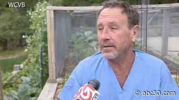 'Oh my God, I'm in a whale's mouth': Lobster diver describes being swallowed by humpback