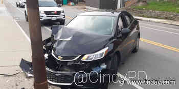 Cicada causes car crash after buzzing into driver's face