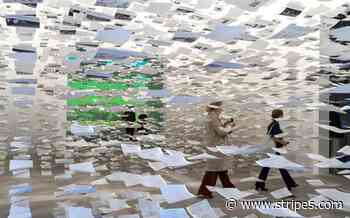 Tour the highlights of the 2021 Venice architecture biennale - Stars and Stripes