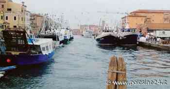 “No all'aumento del fermo pesca” - La Voce di Rovigo - La voce di Rovigo