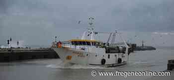 Pesca, a Fiumicino fermo biologico dal 12 giugno all'11 luglio - Fregeneonline.com