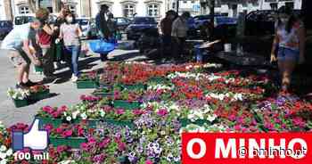 Braga distribui 500 floreiras para embelezar o centro histórico da cidade - O MINHO