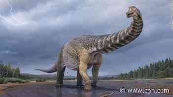 This ancient dinosaur would give today's blue whale a run for its money