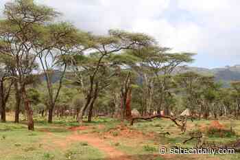 Monitoring Species Condemned to Extinction May Help Conservationists Save Others As Global Temperatures Rise