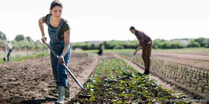 USDA says it'll continue to fight to pay off loans for Black farmers despite lawsuit on behalf of white farmers